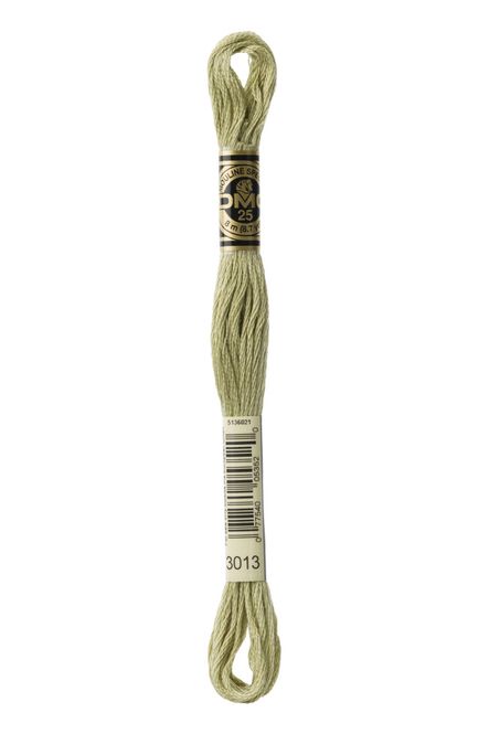 Hovedbilde DMC Mouline 3013