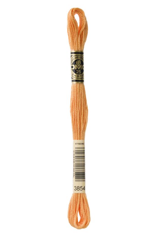 DMC Mouline 3854