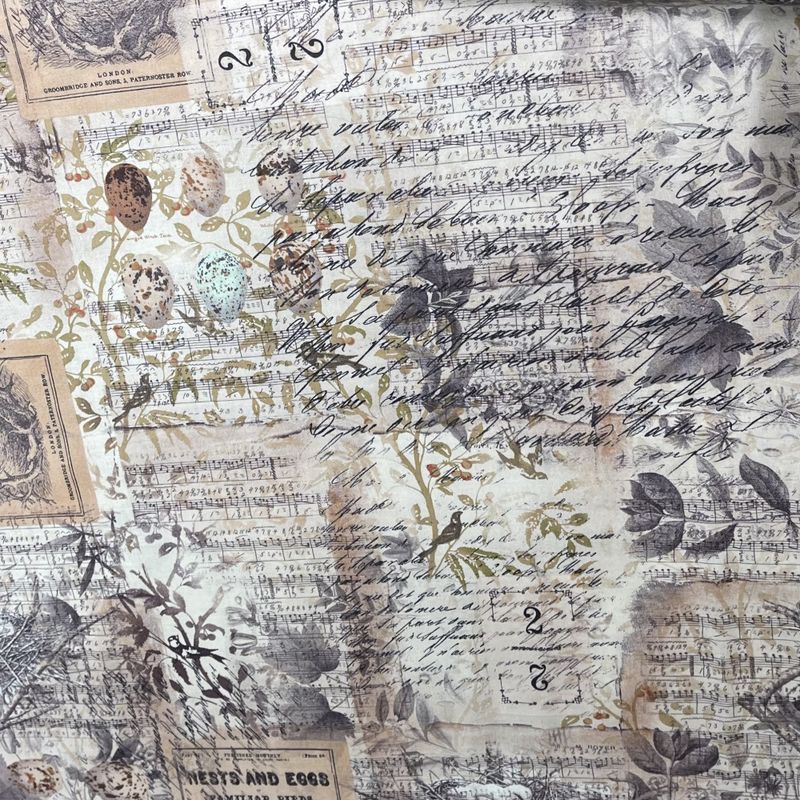 Tim Holtz - Eclectic element - egg og reir