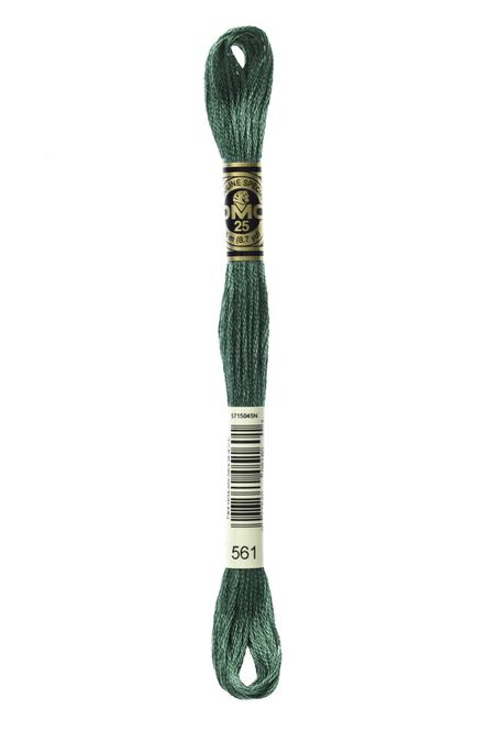Hovedbilde DMC Mouline 561