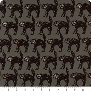 Katter på koksgrå bunn