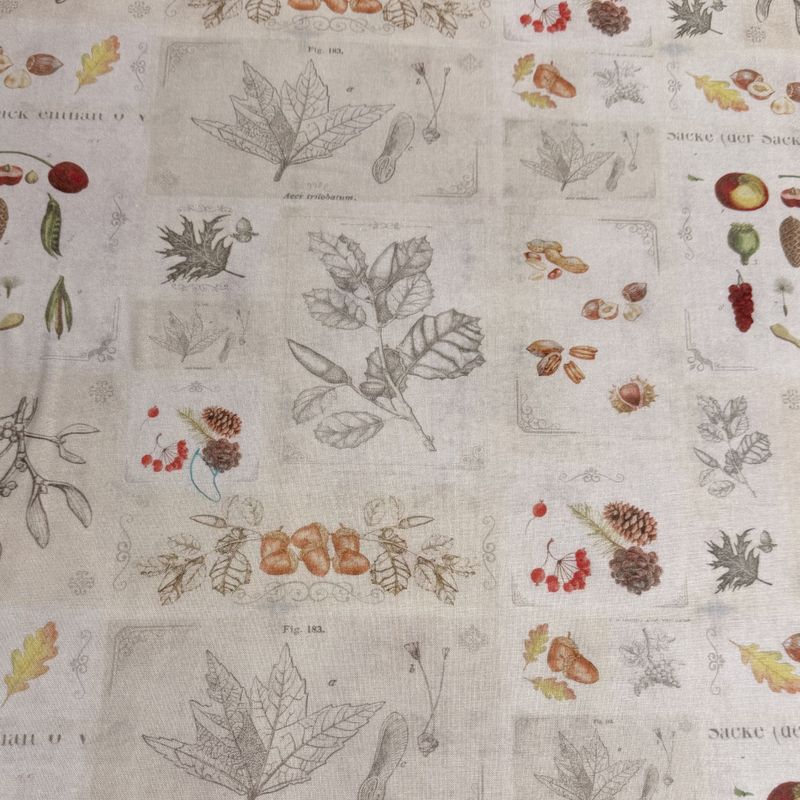Herbarium 
