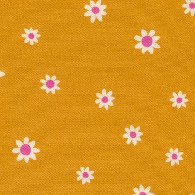 Hovedbilde Orange med hvite små blomster