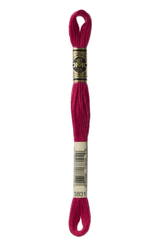 DMC Mouline 3831 