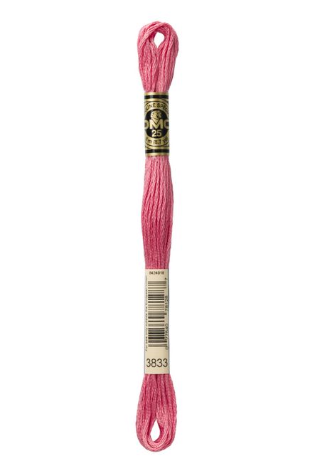 Hovedbilde DMC Mouline 3833