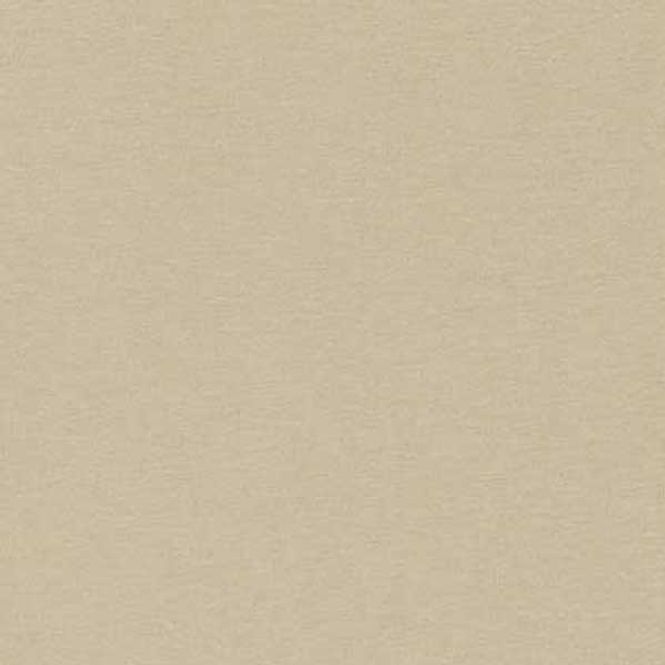 Hovedbilde Jersey Beige