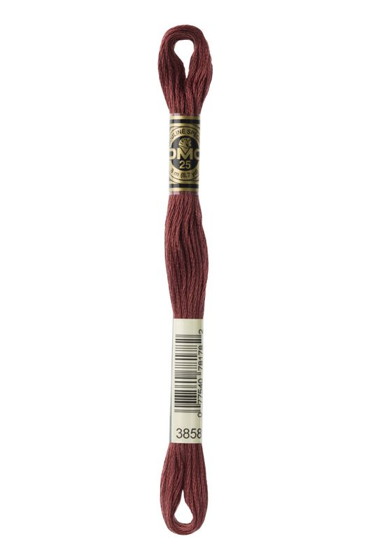 DMC Mouline 3858